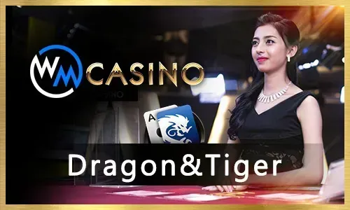 AP Gaming Provider